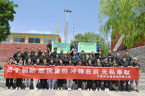 CG电子游戏(中国集团)官方网站