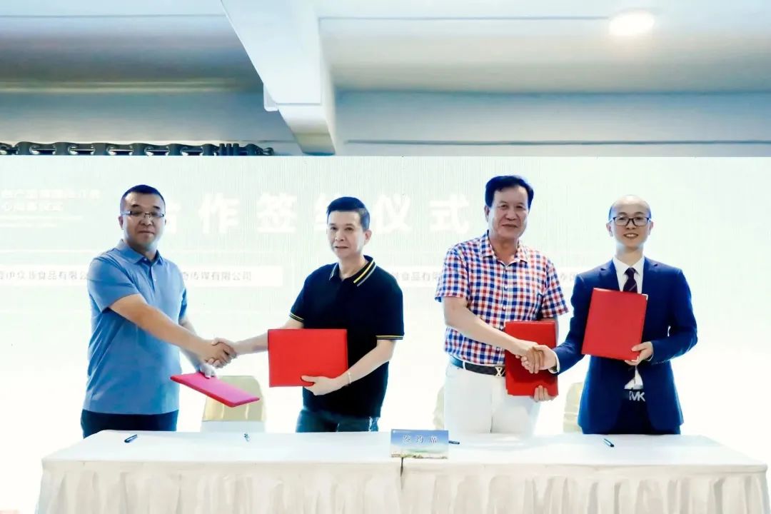 CG电子游戏(中国集团)官方网站